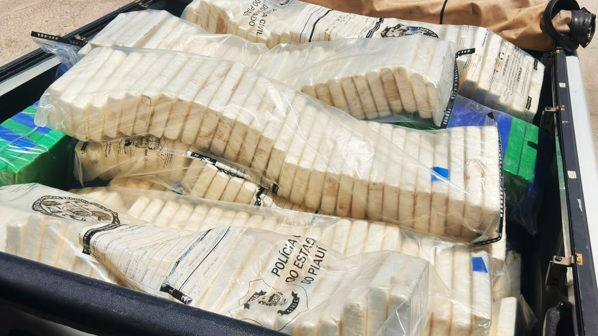 Polícia Civil em Parnaíba destrói cerca de 700 quilos de drogas avaliados em R$ 60 milhões