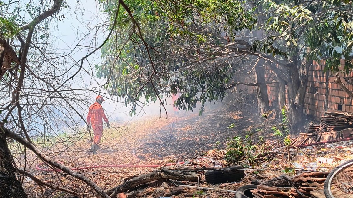 Fogo em área de vegetação assusta moradores do Bairro do Carmo, em Parnaíba